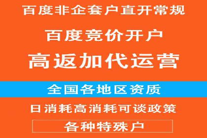 实战案例：如何利用百度推广拓展市场份额