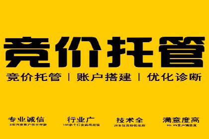 SEM服务托管在房地产行业的营销策略探讨